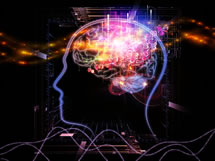 brain-multimedia-learning